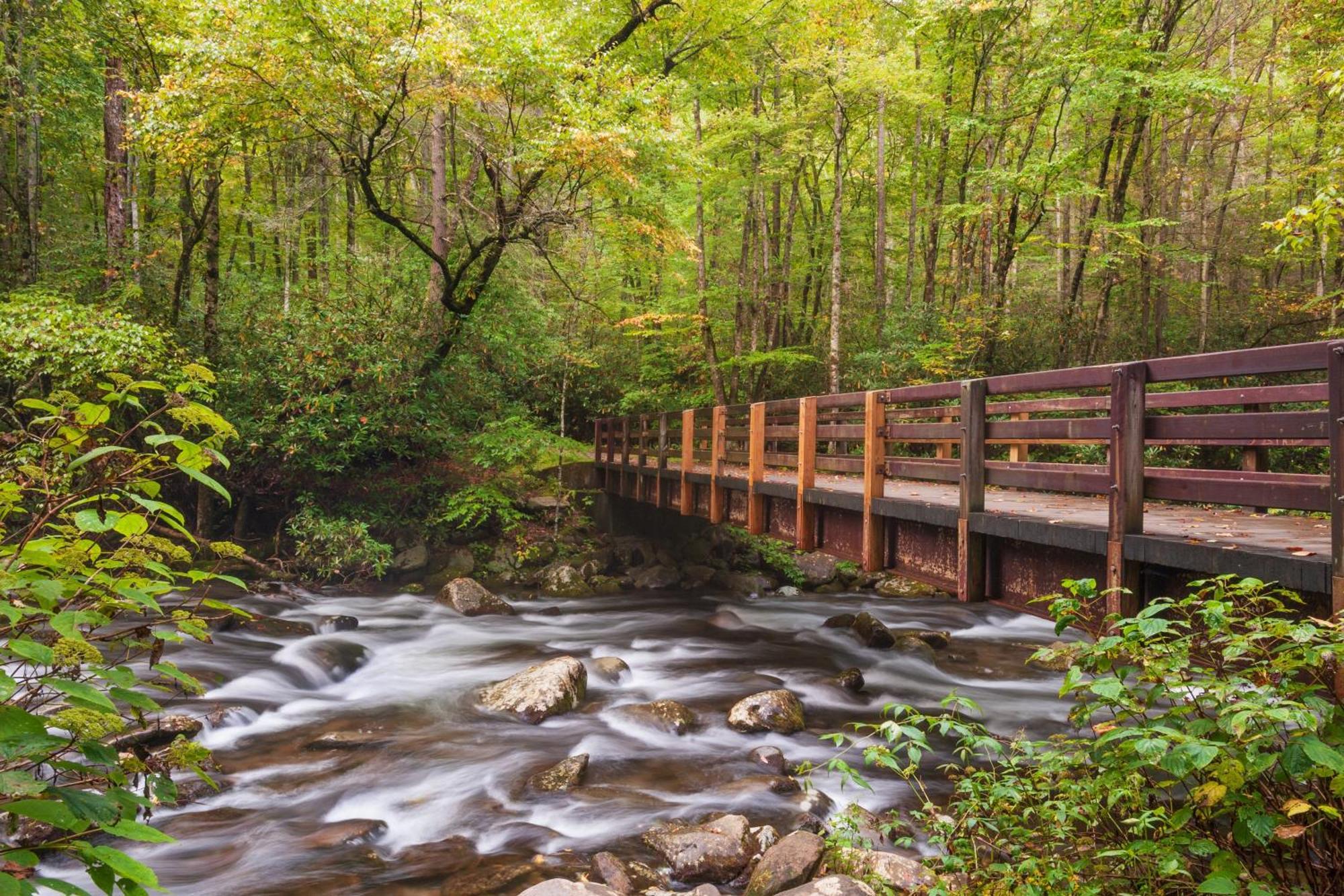 Wilderness Lodge, Hot Tub, Game Room, Pool Access, 1089 Free Tickets Each Paid Day, Dollywood And M Sevierville Eksteriør billede